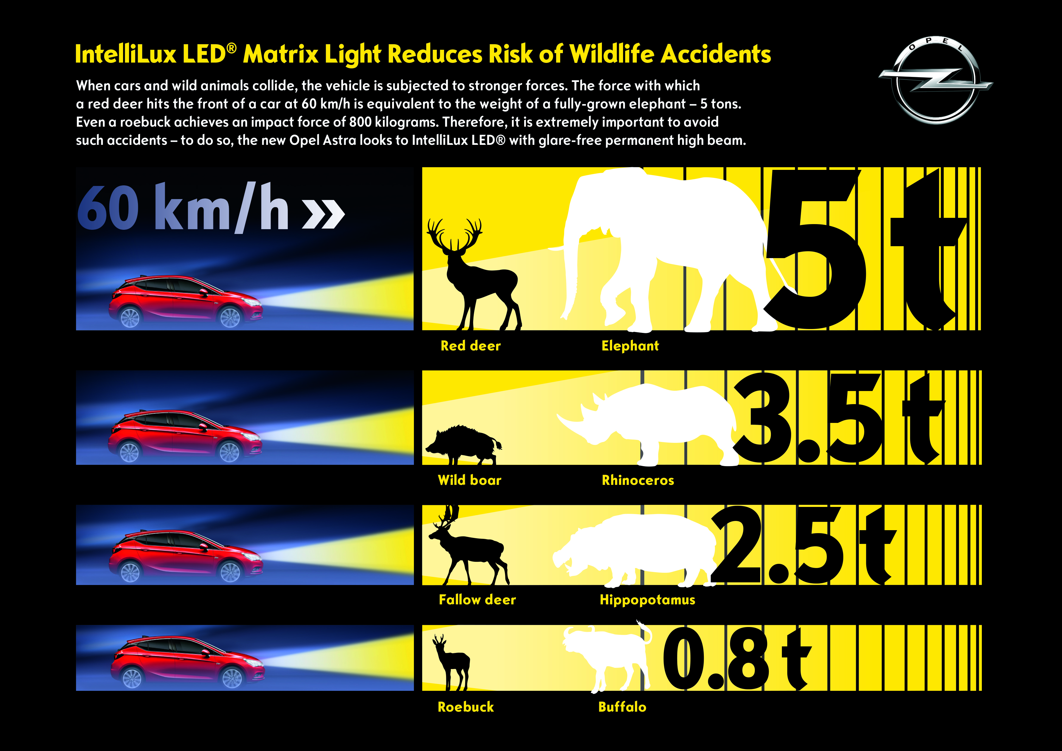 Avoiding collisions: Our native game species can reach up to 200 kilograms – when multiplied by the speed of a car the impact force can reach tons and a red deer basically becomes an elephant.