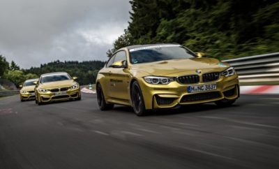 BMW & MINI Driving Experience